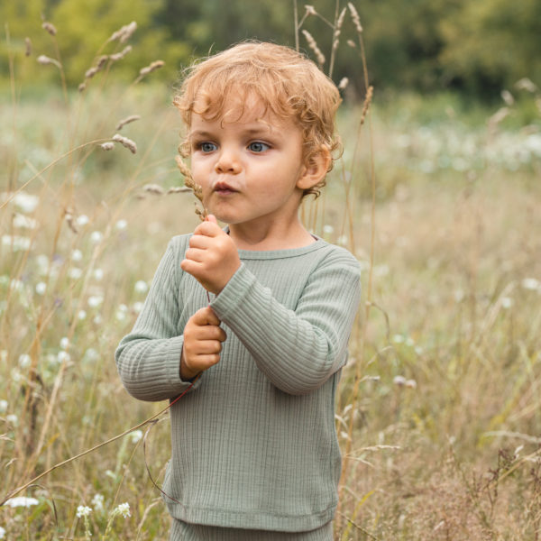 genser august sjobris